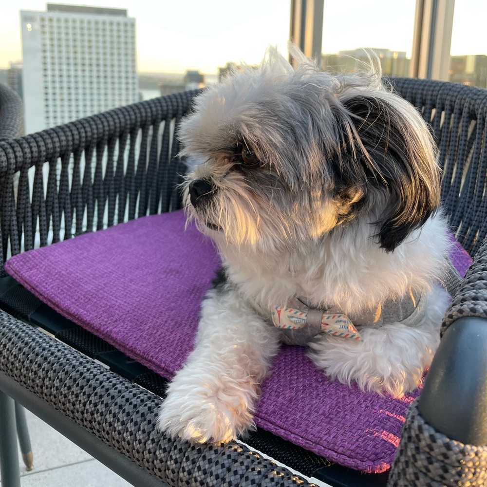Meet your Posher, Mia